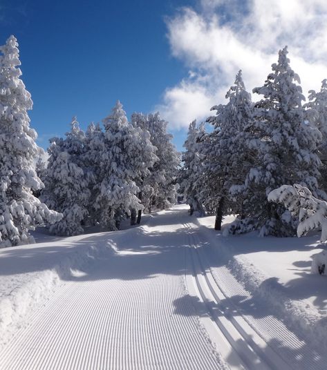 Font Romeu Pyrénées 2000 Snow Mountain, Winter Wonder, Pyrenees, Winter Wonderland, Monument, Las Vegas, Beautiful Places, Skiing, Favorite Places