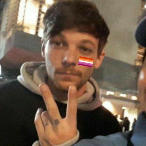 Louis Tomlinson Lesbian Flag, Icons Ig, Pride Icons, Lesbian Flag, Flag Icon, Karma Quotes, Light Of My Life, Crazy Kids, Profile Photo