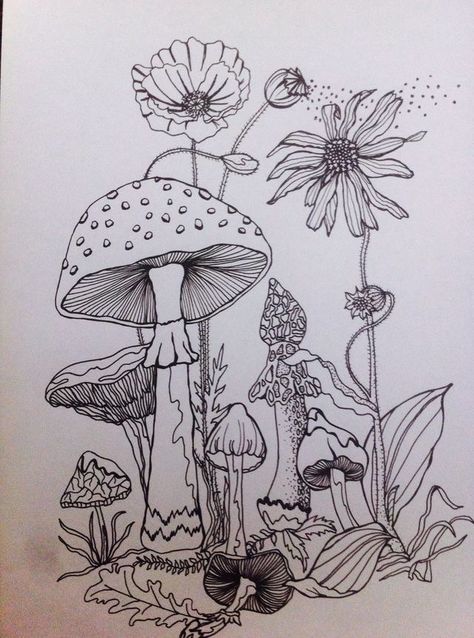 Idée pour dessiner des champignons Bujo Drawings, Beautiful Pencil Drawings, Kunst Inspo, Mushroom Drawing, Moon Drawing, Arte Sketchbook, 자수 디자인, Mushroom Art, Doodle Drawings