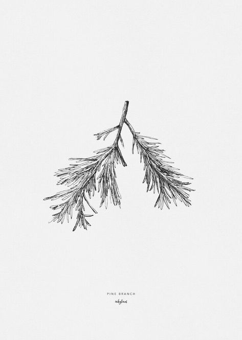 Pine Tattoo, Tree Branch Tattoo, Pine Tree Branch, Branch Drawing, Christmas Tree Drawing, Branch Tattoo, Muster Tattoos, Pine Branch, Tree Drawing