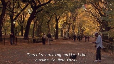 Nyc Autumn, The Fall Movie, Fall In Nyc, Gossip Girl Aesthetic, Nyc Fall, When Harry Met Sally, Autumn In New York, Matilda Djerf, Autumn Leaves Photography