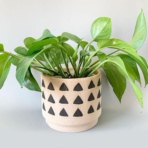 Unique Plant Pots, Painting Pots, Easiest Flowers To Grow, Plant Pot Design, Pot Art, Pot Painting, Plant Pot Diy, Easy Plants To Grow, Planting Pots