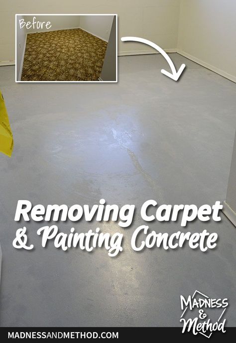 Halfway done with the basement refresh! This week I'm sharing how removing carpet and painting concrete floors in our guest bedroom went. How To Remove Carpet Glue From Concrete, Removing Carpet From Concrete, Painted Cement Floors Basement, Painted Concrete Floors Bedroom, Concrete Floor Bedroom Ideas, Painted Basement Floor Concrete, Basement Floor Ideas Concrete, Carpet Squares Basement, Paint Concrete Floor