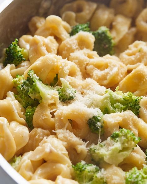 Cavatelli And Broccoli, Alfredo Sauce Easy, Broccoli Sausage, Broccoli Recipes Healthy, Tortellini Alfredo, Healthy Pasta Dishes, Chicken Broccoli Alfredo, How To Cook Broccoli, Tortellini Bake