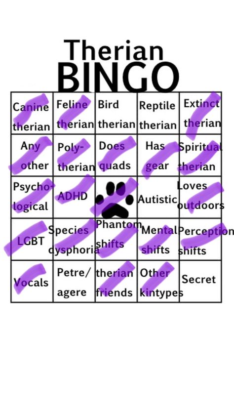 Bingo, Reptiles, Feline