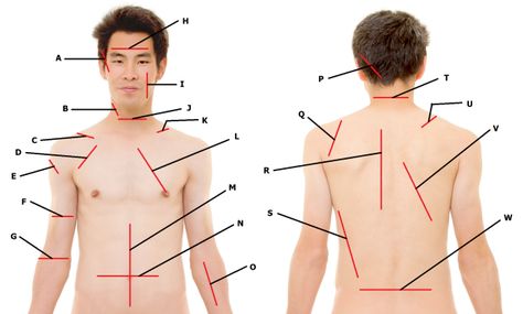 Figure 1 - Slashing Targets                                                                                                                                                                                 More Trening Sztuk Walki, Self Defense Tips, Ju Jitsu, Apocalypse Survival, Tactical Survival, Bug Out Bag, Home Defense, Krav Maga, Savate