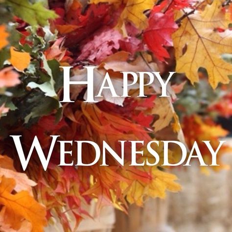 Fall Wednesday, Wednesday Fall, Happy Wednesday Pictures, Wednesday Images, Fall Greetings, Happy Wednesday Images, Wednesday Greetings, Wednesday Blessings, Week Quotes