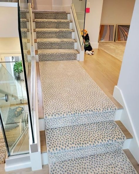 Beach House Carpet Stairs, Fun Staircase Runner, Stair Runner Carpet Coastal, Polypropylene Stair Runner, Stanton Stair Runner, Stairway Pictures, Stairs Carpet, Stanton Carpet, 2024 Kitchen