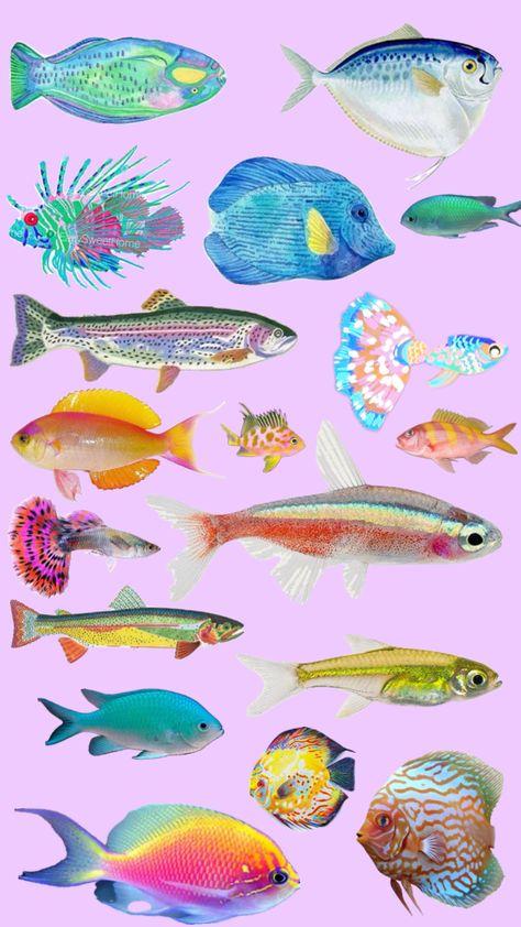 Tropical Fish Aesthetic, Beta Fish Illustration, Funky Fish Art, Reference Animals, Coral Illustration, Crayon Shirt, Ocean Fishes, Tropical Fish Art, Bright Colors Art