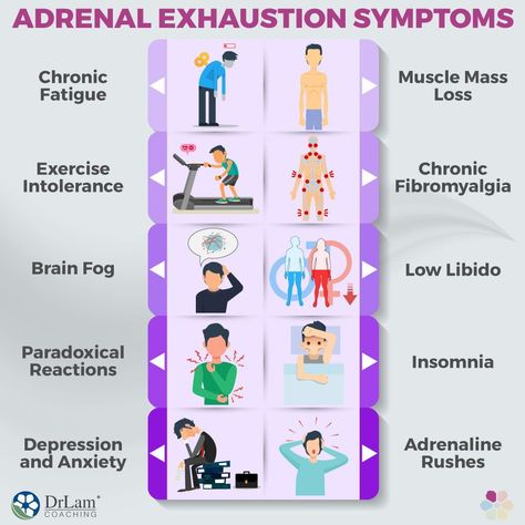 While Adrenal Fatigue is comprised of four stages, the condition is very often unnoticed in the first two stages. It isn’t until Stage 3, named Adrenal Exhaustion, that the symptoms are finally recognized as signs of internal dysfunction. When severe adrenal exhaustion symptoms arise in Stage 3, they are often complicated, interconnected, and confusing—even to health professionals—because Adrenal Fatigue exerts its effects throughout every system in the body. How To Improve Adrenal Function, Exhaustion Symptoms, Adrenal Exhaustion, Congenital Adrenal Hyperplasia, Severe Fatigue, Fatigue Syndrome, Low Libido, Adrenal Fatigue Symptoms, Adrenal Health