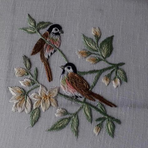 Soft Shading, Bird Embroidery Pattern, Brazilian Embroidery Stitches, Crewel Embroidery Patterns, Crewel Embroidery Kits, Embroidery Stitches Tutorial, Hand Embroidery Projects, Brazilian Embroidery, Bird Embroidery