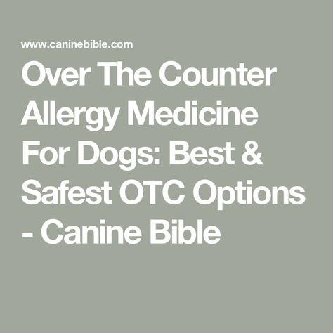 Over The Counter Allergy Medicine For Dogs: Best & Safest OTC Options - Canine Bible Over The Counter Meds For Dogs, Best Allergy Medicine, Medicine For Dogs, Meds For Dogs, Dog Medicine, Allergy Medicine, Dog Itching, Allergy Relief, Dog Nutrition