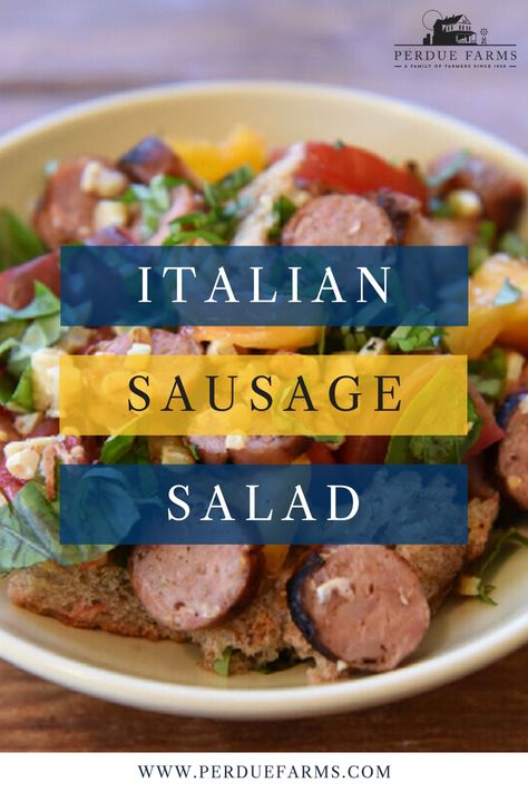 The perfect summer dish to enjoy during the hottest days of the summer.  Vine-ripe tomatoes, artisan bread and Niman Ranch’s sweet Italian sausage makes this dish truly delicious. #recipe #recipes #sausagerecipes #sausage #italiancuisine #italianfood #italianrecipes #summerrecipes #easymealideas #salad #saladrecipes Italian Sausage Salad, Bread And Sausage, Sausage Salad Recipe, Tomato Bread Salad, Bread Salad Recipe, Italian Bread Salad, Sausage Salad, Summer Vine, Tomato Bread