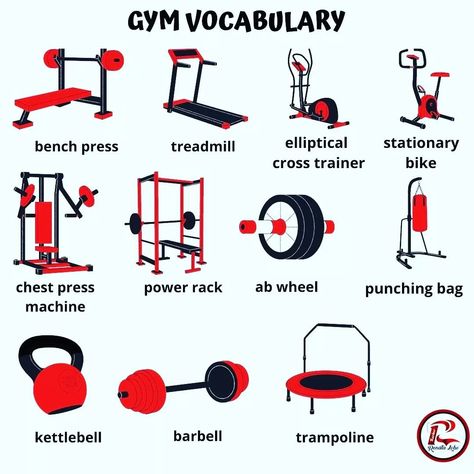 Gym Vocabulary, English Club, Math English, Vocabulary Book, Picture Dictionary, Fashion Vocabulary, Learn English Vocabulary, Ab Wheel, English Speaking