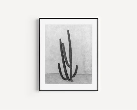 Black And White Cactus, Mexico Cactus, Mexico Print, White Cactus, Cactus Photography, Cabo Mexico, Create A Gallery Wall, Dorm Wall Art, Landscape Wall Decor