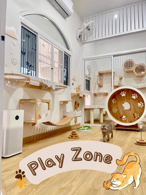 Cat Cafe Aesthetic Interior, Cat Cafe Interior Design, Luxury Cat Room, Cat Playground Indoor Diy, Cat Cafe Ideas, Indoor Cat Room Ideas, Cat Daycare, Dog Boarding Ideas, Cat Litter Cabinet