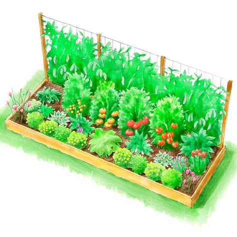 Garden Layout Vegetable, Small Vegetable Gardens, Vegetable Garden Planning, Indoor Vegetable Gardening, Garden Illustration, Planting Plan, Vegetable Garden Design, Flowers Wallpaper, Garden Features