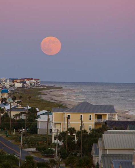 Saint George Island Florida, Monthly Aesthetic, Saint Martin Island, St George Island Florida, Saint George Island, Vacation 2023, Summer Vision, Pet Friendly Vacations, St George Island