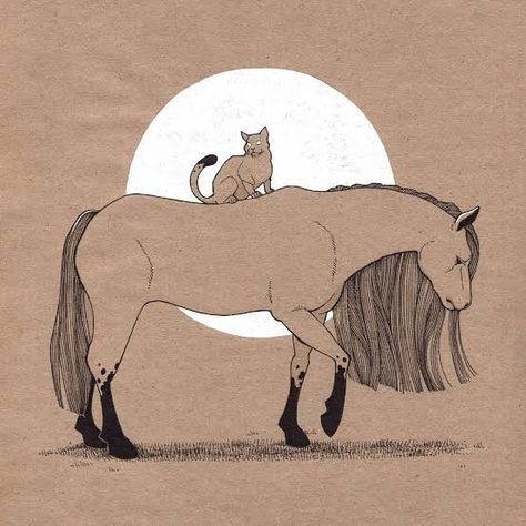 Horse And Cat Drawing, Horse And Cat Tattoo, Horse Illustration, Horse Tattoo, Horse Drawing, Book Projects, Horse Girl, Cat Tattoo, Cat Girl