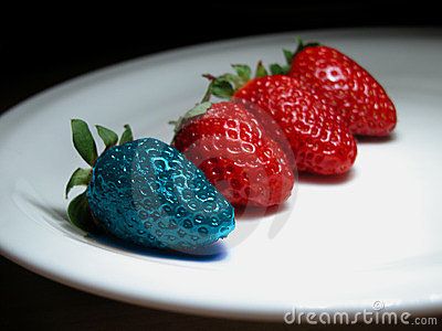 Different  - Genetically Modified Food Genetically Modified Organisms, Genetically Modified Food, Blue Strawberry, Gmo Foods, Genetic Engineering, Food Lab, Food Additives, Eating Organic, Fruit Tea