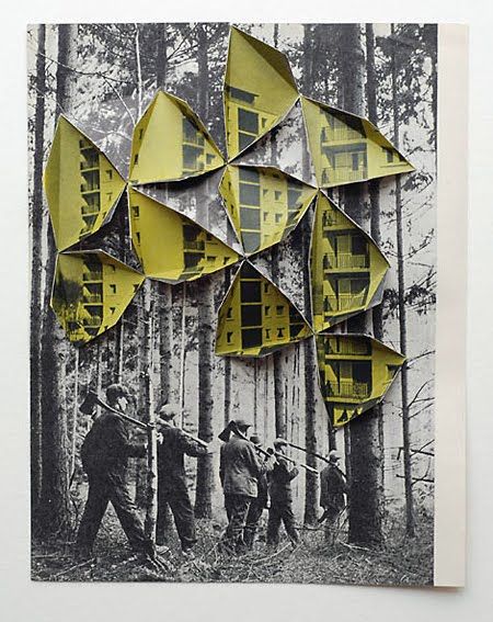 Abigail Reynolds, Paper Photography, Art Du Collage, Arte Disney, Gcse Art, A Level Art, Paper Cut, Art Plastique, In The Woods