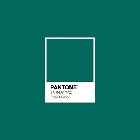 Cadmium Green, Pantone Green, Color Library, Pantone Color Chart, Pantone Swatches, Color Pantone, Pantone Colour Palettes, Serenity Blue, Colour Shades