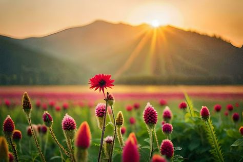 Wallpapers Horizontal, Nature Hd Wallpaper, Mountains Flowers, Sunset Mountains, Flowers Field, Best Nature Wallpapers, Best Nature, Nature Hd, Wallpaper Flower