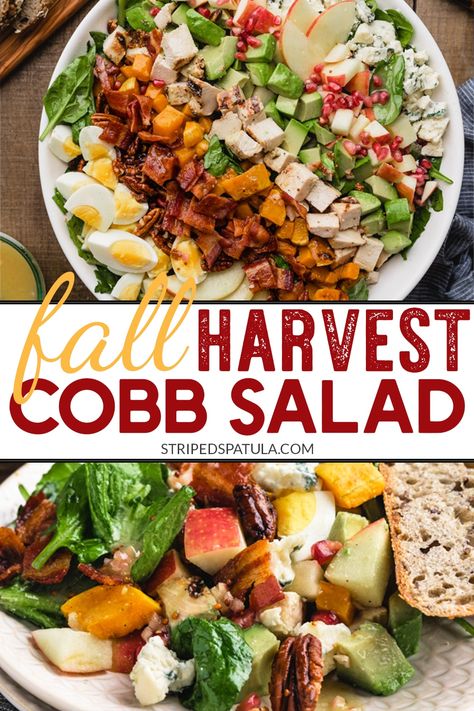 In a fall twist on a classic, this Harvest Cobb Salad combines seasonal flavors, like apples, butternut squash, and pecans, with a maple-sweetened vinaigrette, and classic Cobb add-ins. This is an entree salad to dig into with friends! #salad #cobbsalad Harvest Cobb Salad, Friends Salad, Salad Recipes Pasta, Recipes With Cool Whip, Butternut Squash Cubes, Romaine Salad, Hearty Salads, Autumn Salad, Roasted Squash