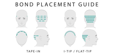 I Tip Hair Extensions Placement, Tape In Hair Extensions Placement Guide, Hair Extension Placement Guide, Tape In Extensions Placement Guide, Tape In Extensions Placement, Tape In Hair Extensions Placement, Hair Extensions Placement, Skin Physiology, Individual Hair Extensions