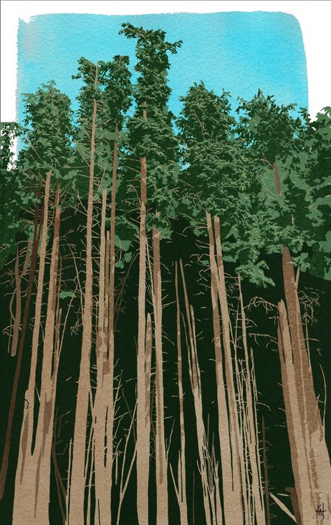 Forest Artwork Illustration, Pine Trees Illustration, Forest Trees Illustration, Forest Illustration Art, Tree Forest Illustration, Forest Illustration Trees, Pine Forest Illustration, Woods Illustration Forests, Forest Entrance