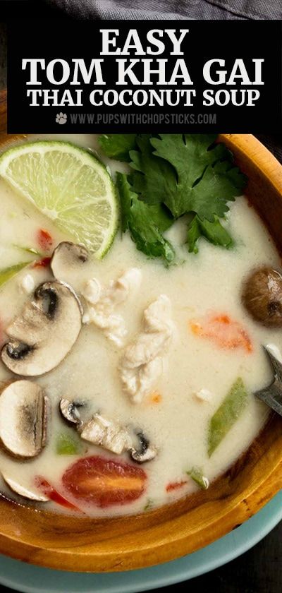 Tom Gai Soup, Easy Tom Kha Gai Soup, Kha Soi Recipe, Tom Kha Gai Soup Thai Style, Thom Ka Soup, Tom Ka Soup Recipe, Tom Kai Soup Coconut Milk, Tom Gai Kha Soup, Tom Kai Soup