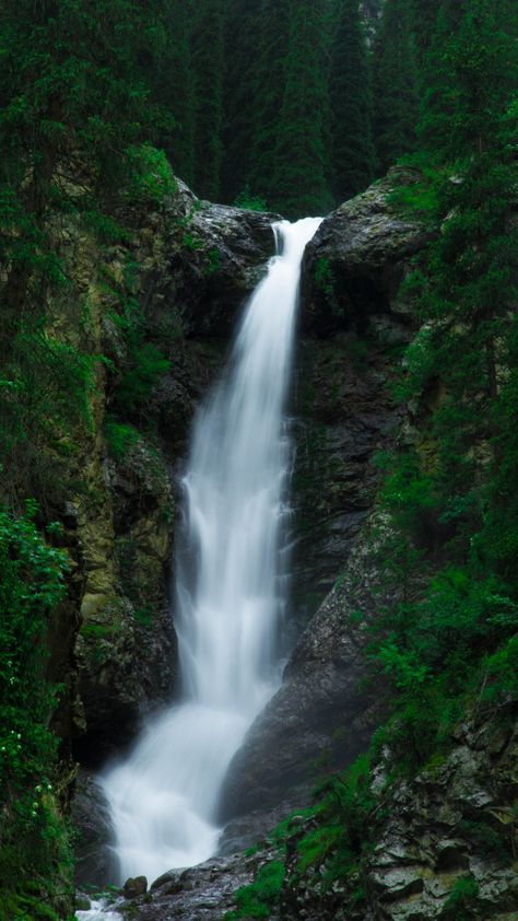 Water current, waterfall, green forest, nature, 720x1280 wallpaper Forest Waterfall Wallpaper, Water Fall Photography, Forest Waterfall Photography, Forest With Waterfall, Background I Phone, Green Forest Wallpaper, Green Waterfall, Waterfall Wallpaper, Forest Waterfall