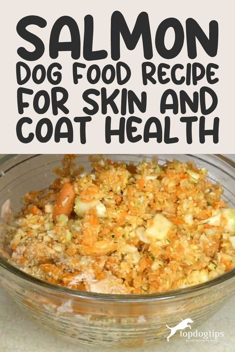 Salmon Dog Food Recipe for Skin and Coat Health Canned Salmon Dog Food Recipe, Dog Food Recipes Crockpot, Foods Dogs Can Eat, Dog Food Recipe, Easy Dog Treat Recipes, Dog Treats Homemade Easy, Make Dog Food, Diy Dog Food, Dog Biscuit Recipes