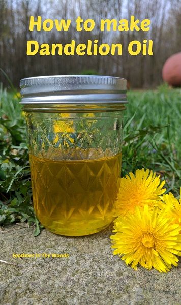 Feathers in the woods: How to make dandelion oil (it's super easy!) How To Make Dandelion Oil, Dandelion Oil Recipes, Dandelion Infused Oil, Dandelion Oil, Dandelion Flowers, Feel Energized, Infused Oil, Herbal Recipes, Herbal Apothecary