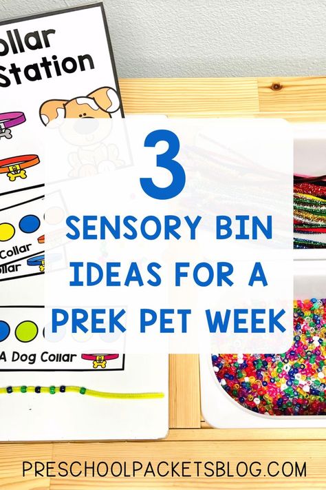 Sensory bins are a fun and hands-on way to work on multiple skills and when they tie into a fun weekly theme, students are even more engaged! These three low-mess sensory bins are perfect for your pet-themed week and best of all, they are simple to set up Math Sensory Bin, Sensory Bins For Preschool, Sensory Bin Ideas, Pets Preschool Theme, Preschool Curriculum, Preschool Theme, Sensory Bin, Sensory Bins, Sensory Activities