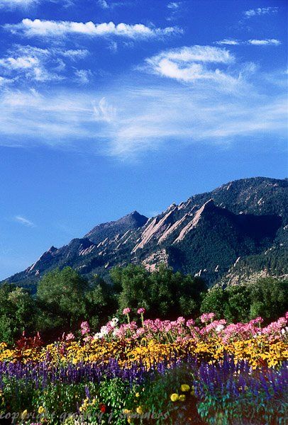 Flatirons Boulder, Colorado Photos, Earth Beautiful, Colorado Boulder, Living In Colorado, Flat Irons, State Of Colorado, Spring Blossoms, Mountain High