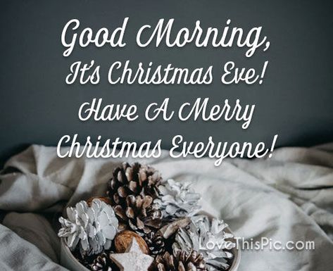 It's Christmas Eve morning wishes joy blessings christmas eve eve Good Morning Merry Christmas Eve, Good Morning Christmas Eve, Christmas Eve Blessings, Good Morning Merry Christmas, Christmas Eve Meme, Christmas Eve Wishes, Christmas Eve Images, Christmas Eve Pictures, Holiday Season Quotes