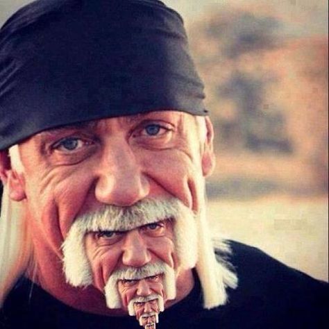 15 Hulk Hogan Memes That'll Make You Call Everyone 'Brother' - Memebase - Funny Memes Droste Effect, Justin Bieber Jokes, Funny Baby Images, American Funny Videos, Indian Funny, Best Funny Photos, Funny Dog Photos, Funny Dresses, Funny Pictures For Kids