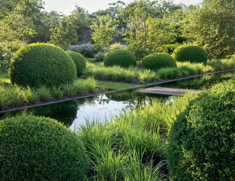 Tom Stuart Smith's walled garden at Culham Court in Berkshire | House & Garden Tom Stuart Smith, Outdoor Fireplace Designs, Garden Water Feature, Planting Design, Topiary Garden, Walled Garden, Garden Design Plans, Mediterranean Garden, Garden Landscape Design