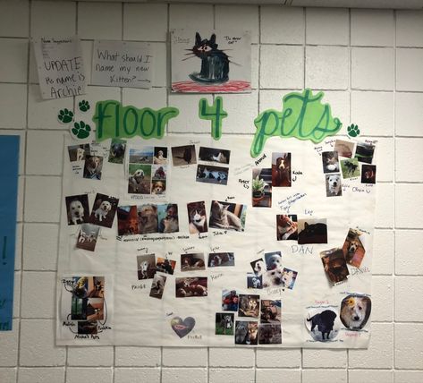 White banner titled "floor 4 pets" where residents can post pictures of their pets & write their names. Pet Bulletin Board Ideas For Work, Pet Bulletin Board Ideas, Interactive Ra Bulletin Boards, Ra Themes Floors, Poster Interactive, Ra Floor Themes, Interactive Decoration, Ra College, Resident Assistant Bulletin Boards