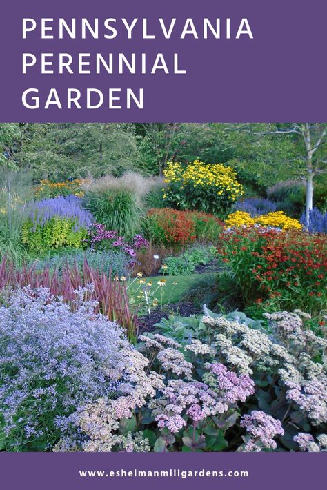 Pennsylvania Garden Ideas, Pennsylvania Landscape Ideas, Pennsylvania Flowers, Perennial Garden Design, House With Land, Zen Garden Ideas, Perennial Garden Plans, Add Curb Appeal, Dream Patio