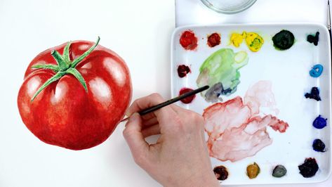 Watercolor Tomatoes, Watercolour Food, Anna Mason, Art Creative Ideas, Realistic Watercolor, Watercolor Beginner, Art Foundation, Watercolor Video, Painting Cat