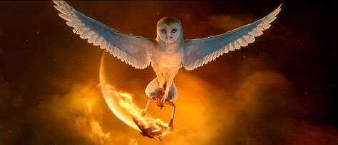 a good owl from the movie Legend Of The Guardians, The Guardians, Owls