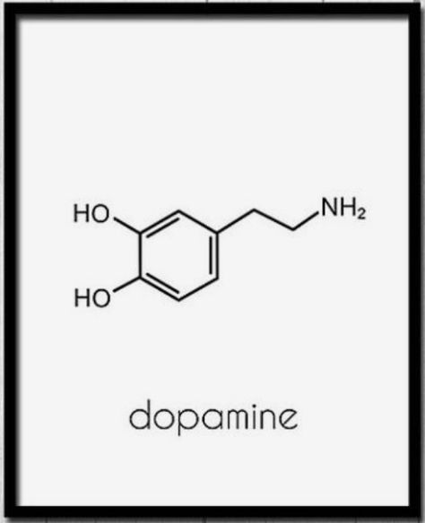 Audhd Tattoo Ideas, Dopamine Tattoo Ideas, Chemical Formula Tattoo, Psychology Tattoo Ideas Symbols, Physics Tattoo Ideas, Dopamine Molecule Art, Psychology Tattoo Minimalist, Mathematics Tattoo, Chemistry Tattoo Ideas