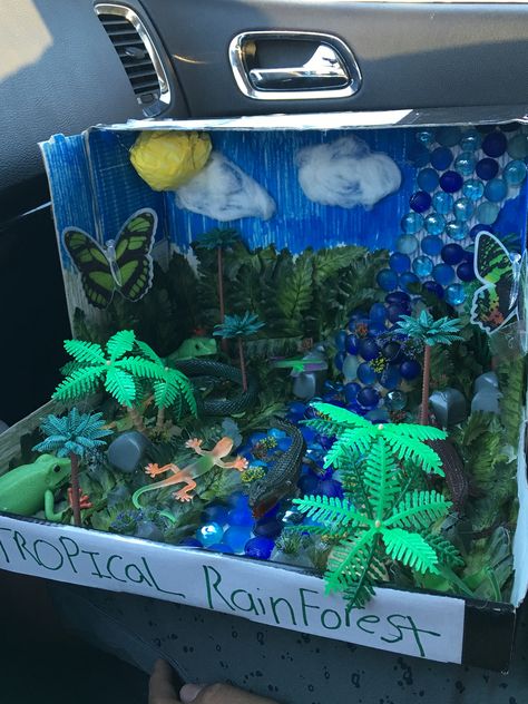 Biome  Tropical rainforest project Tropical Rainforest Ecosystem Project, Rainforest Crafts Shoebox School Projects, Rainforest Habitat Shoebox Project, Chameleon Habitat Diorama, Rainforest School Project, Rainforest Diarama Ideas Kids, Rainforest Project Ideas, Rain Forest Biome Project, Biome Project Ideas Rainforest