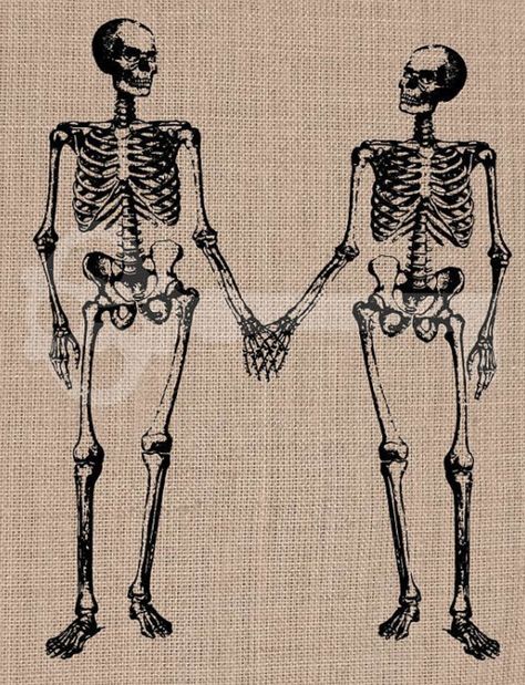 Skeletons Holding Hands, Dark Academia Tattoo, Holding Hands Tattoo, Holding Hands Drawing, Skeleton Drawing, Hands Tattoo, Skeleton Drawings, Skeleton Tattoos, Human Anatomy Drawing