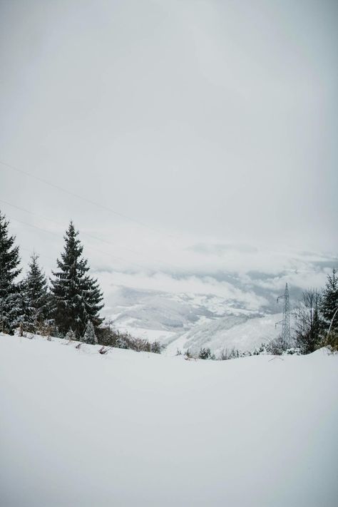 Snowy terrain with trees near mountains · Free Stock Photo Snowy Landscape Photography, Snowy Terrain, Weathered White, Winter White, Botany, Cover Photos, Free Stock Photos, Rocky, High Resolution