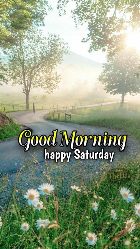 Good Morning Saturday Wishes, Saturday Good Morning, Good Morning Saturday Images, Saturday Morning Quotes, Happy Saturday Images, Happy Saturday Morning, Good Morning Animals, Saturday Images, Good Morning Happy Saturday