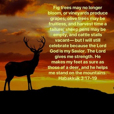 Habakkuk 3:17-19 Prayers That Avail Much, Fig Trees, Father God, Everyday Quotes, Biblical Verses, Olive Trees, Harvest Time, Scripture Study, In God We Trust