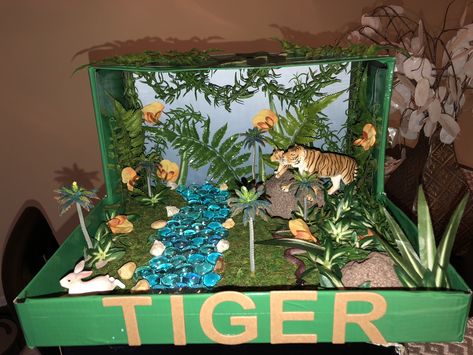 Jungle diorama - tiger habitat Elementary school project Zebra Habitat Diorama, Zebra Diorama Project, Zebra Habitat, Jungle Diorama, Animal Diorama, Kindergarten Science Projects, Habitat Project, Elementary School Projects, Habitat Activities